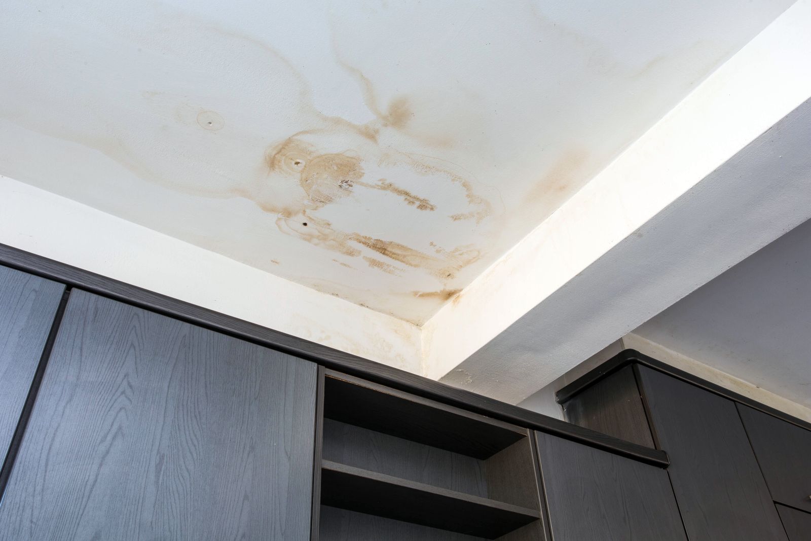 Example photo: a brown water stain spreading across a ceiling.